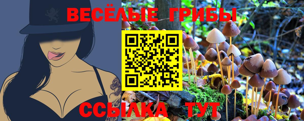 Псилоцибиновые грибы Magic Shrooms Кохма