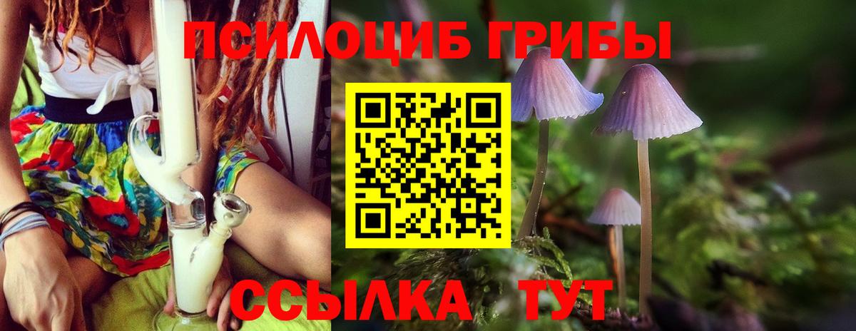 Псилоцибиновые грибы мухоморы  Вход с VPN  Кохма 